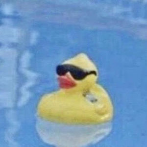 Meet your Posher, Sienna